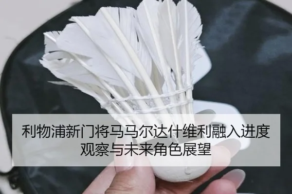 利物浦新门将马马尔达什维利融入进度观察与未来角色展望 - kaiyun